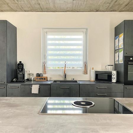 Ferienwohnung Hegau Bodensee Rielasingen-Worblingen Extérieur photo